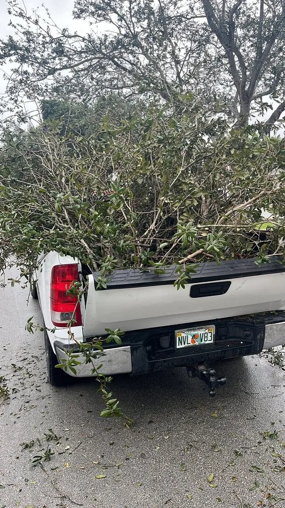 Reliable yard cleanup service in Homestead, FL by Jose G Mendoza Moreno