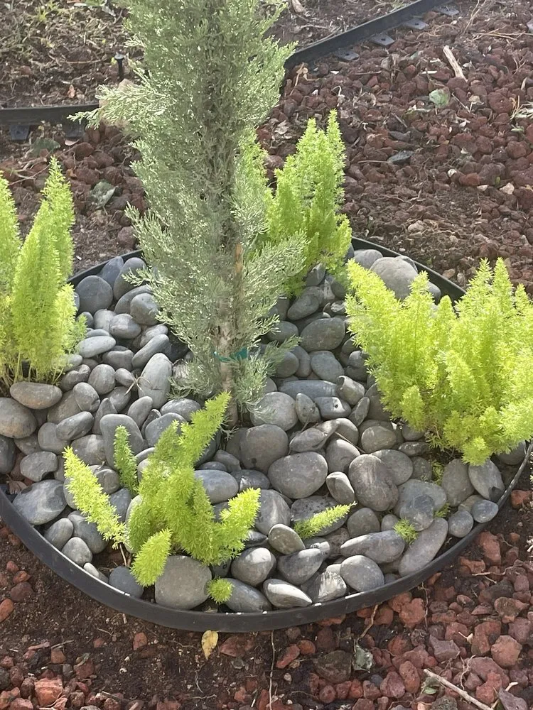 Custom garden landscaping in Homestead, FL by Jose G Mendoza Moreno