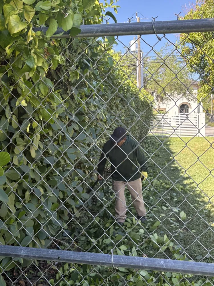 Local landscaping services experts serving Homestead, FL - Jose G Mendoza Moreno