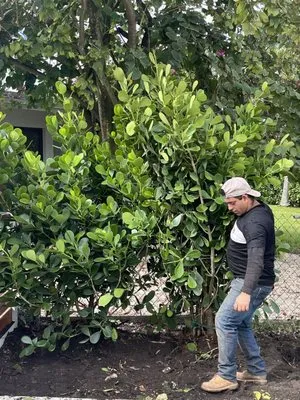 Jose G Mendoza Moreno Logo