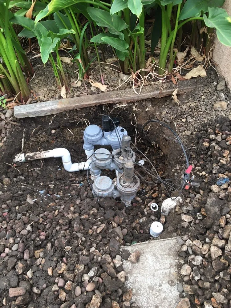 Professional landscape design in San Mateo, CA - Jose Garden Landsc