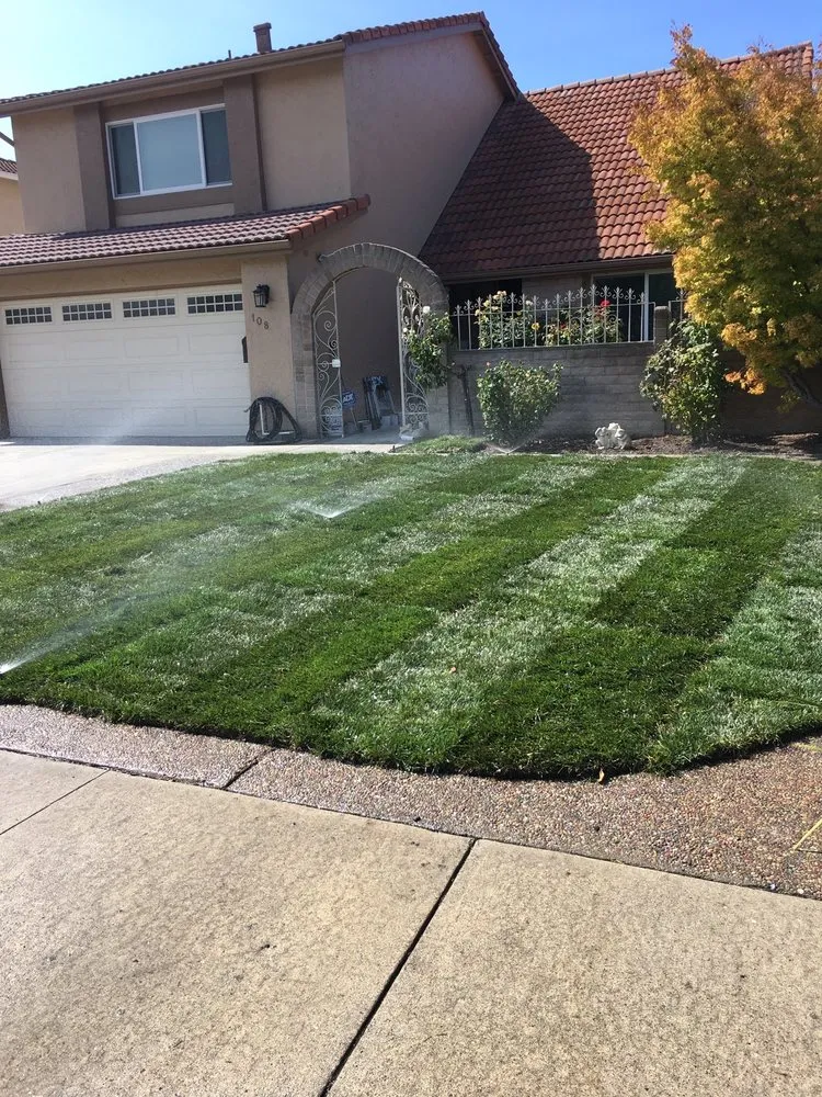 Custom landscape design for homes in San Mateo, CA by Jose Garden Landsc