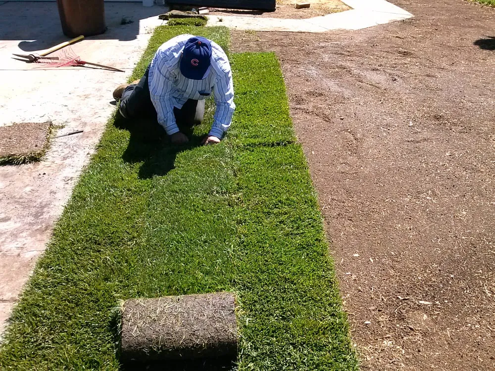 Trusted yard maintenance in San Jose, CA - Jose Gardening & Landscaping