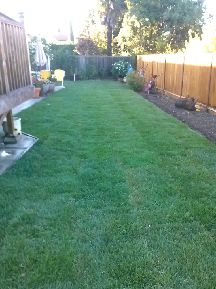 Custom garden landscaping in San Jose, CA by Jose Gardening & Landscaping