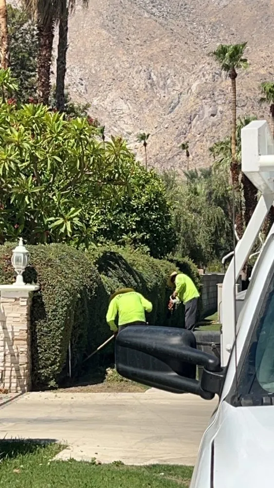 Reliable garden landscaping in Thousand Palms, CA - Jose Golden Landscape