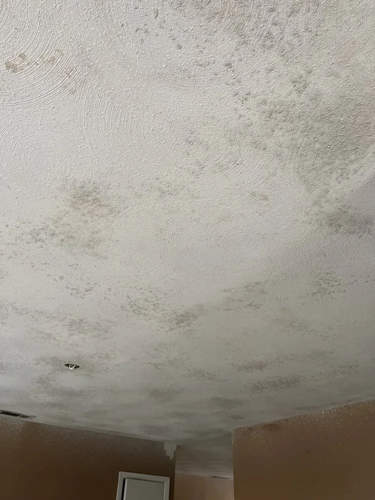 Local landscape installation with custom design in Wills Point, TX by Jose Gonzales