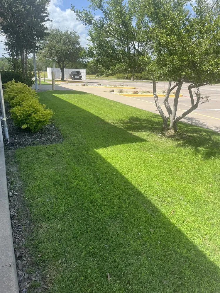 Expert outdoor landscaping for year-round maintenance across Wills Point, TX - Jose Gonzales