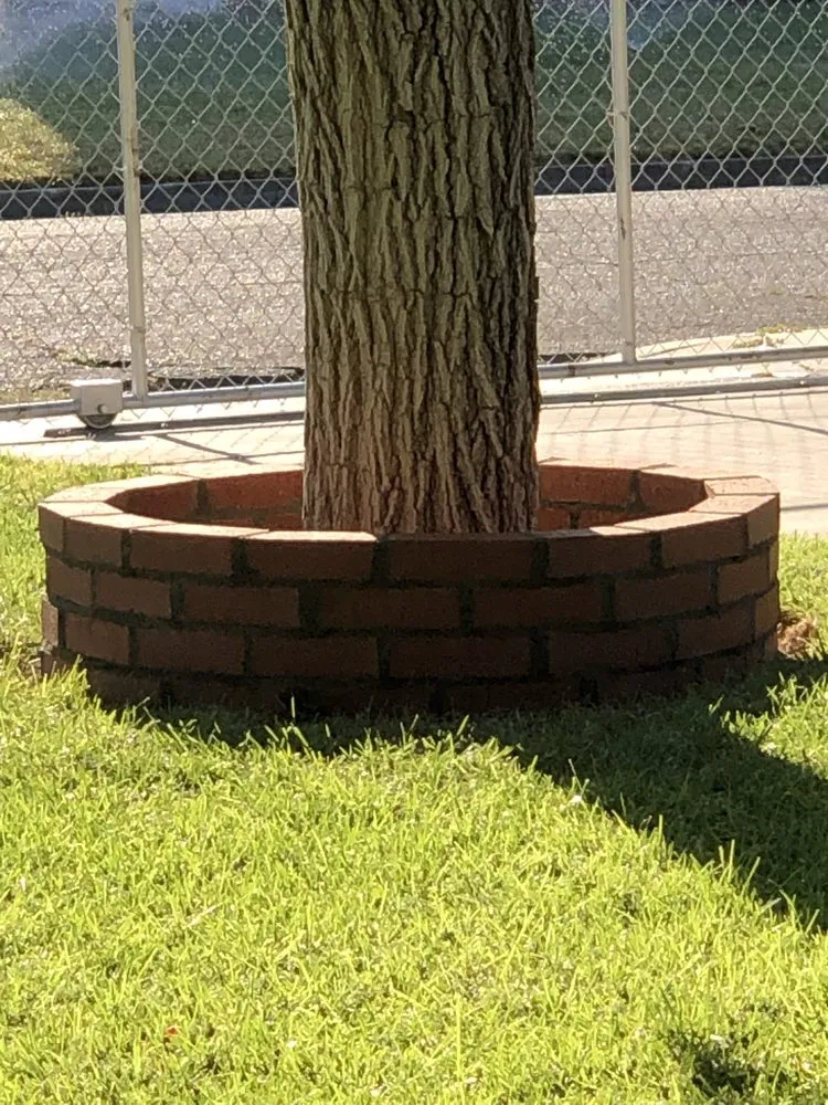 Reliable garden landscaping for homes across Littlerock, CA - Jose Gonzalez Landscape