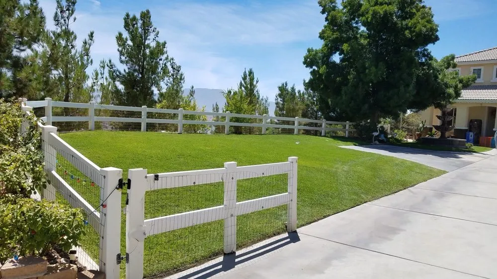 Local yard cleanup service with custom design across Littlerock, CA - Jose Gonzalez Landscape