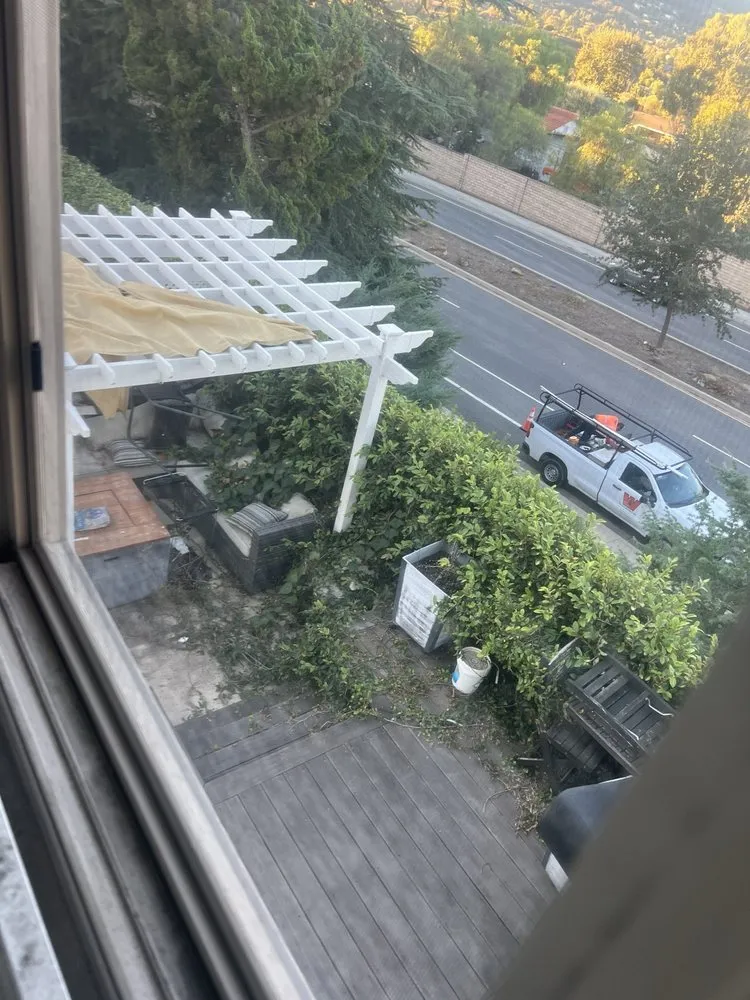 Trusted yard cleanup service experts serving Littlerock, CA - Jose Gonzalez Landscape