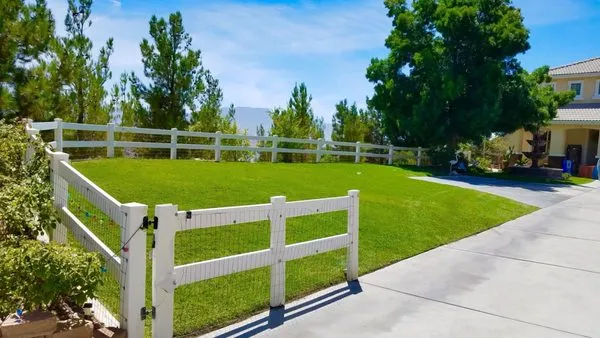 Jose Gonzalez Landscape