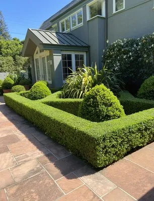 Jose Gonzalez Landscaping Services Logo