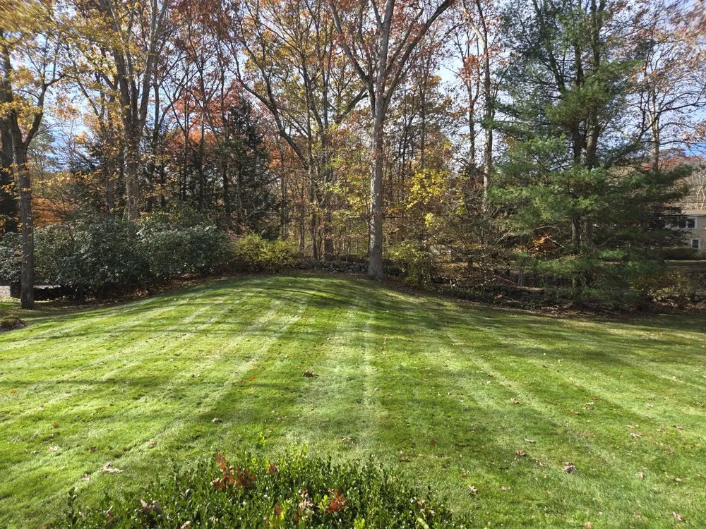 Local lawn care service in Stamford, CT - Jose Gonzalez Landscaping