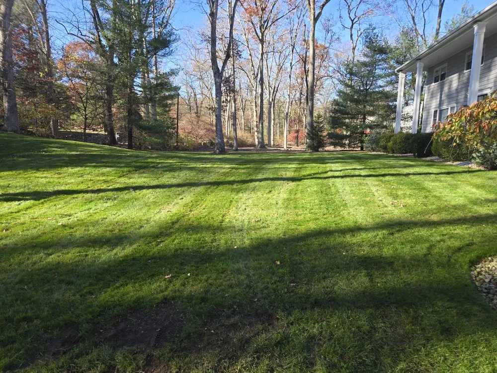 Affordable landscape installation near you across Stamford, CT - Jose Gonzalez Landscaping