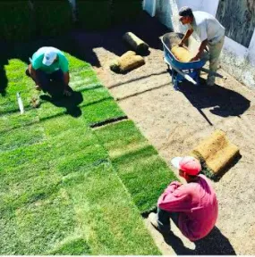 Expert yard maintenance for outdoor upgrades across Long Beach, NY - Jose H Landscaping