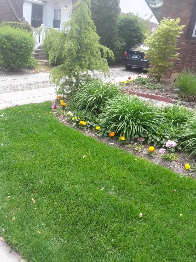 Top-rated lawn care service in Long Beach, NY - Jose H Landscaping