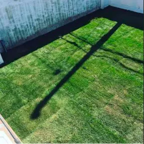 Trusted landscaping services in Long Beach, NY by Jose H Landscaping