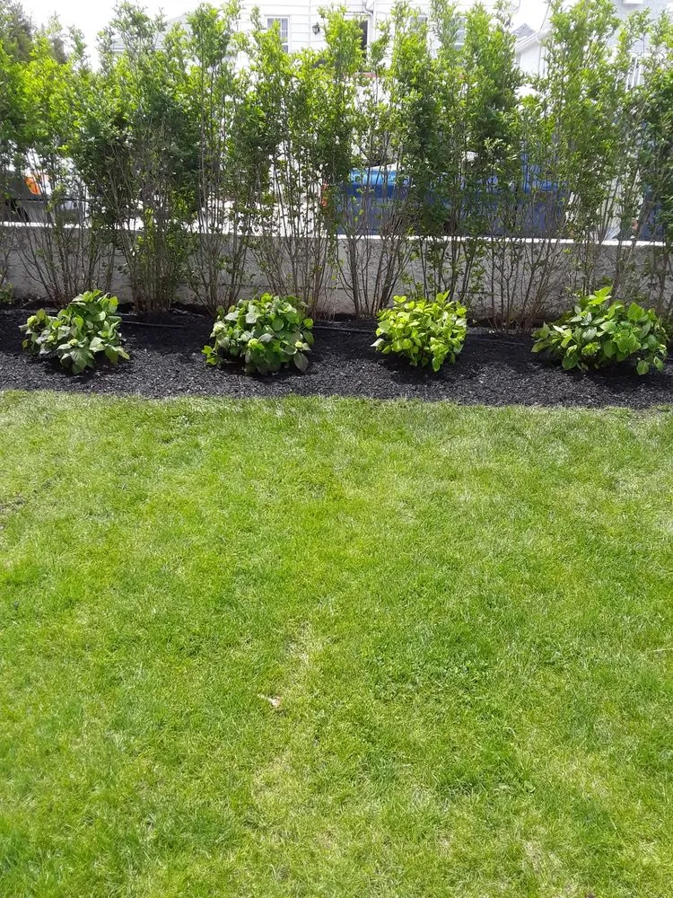 Reliable yard cleanup service experts serving Long Beach, NY - Jose H Landscaping