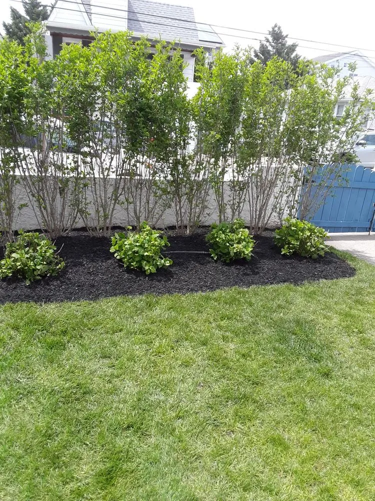 Local lawn mowing service for beautiful yards across Long Beach, NY - Jose H Landscaping