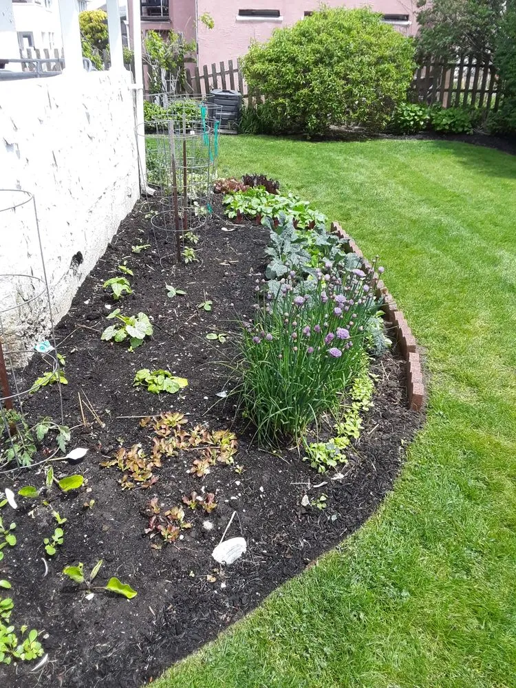 Professional landscape installation near you across Long Beach, NY - Jose H Landscaping