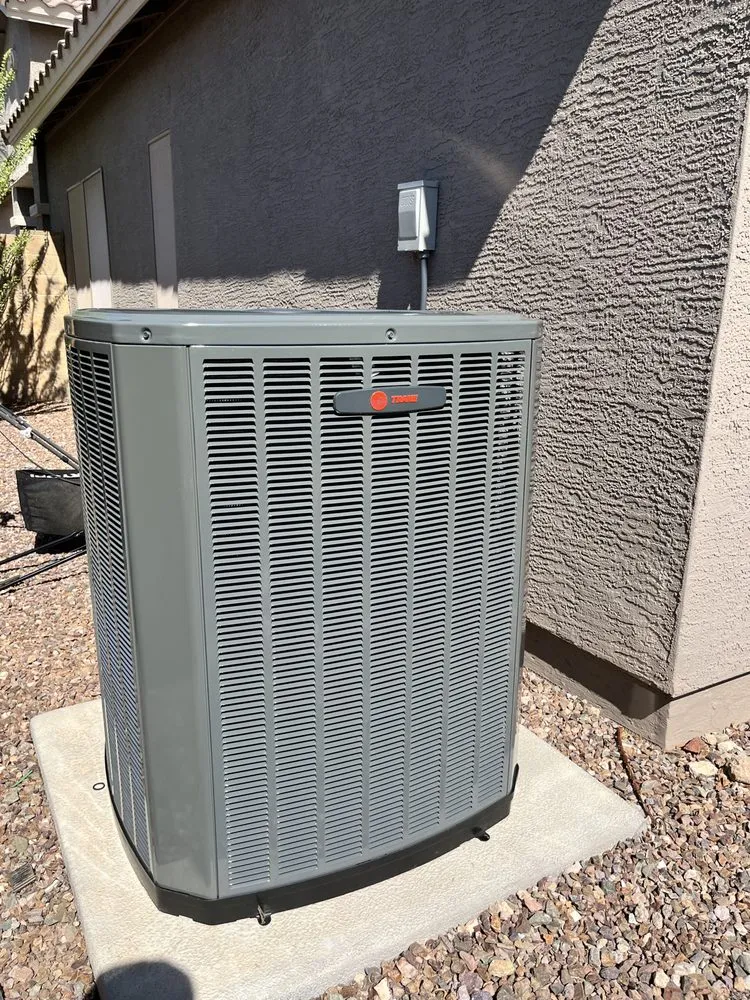 Professional yard cleanup service in Avondale, AZ by Jose Handyman