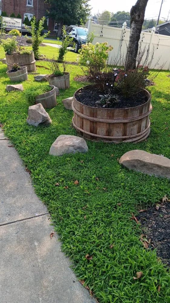 Reliable yard maintenance in Allentown, PA by Jose hernandez