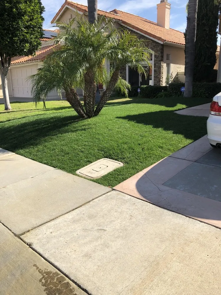 Expert landscaping services in San Diego, CA by Jose Hernandez Landscaping