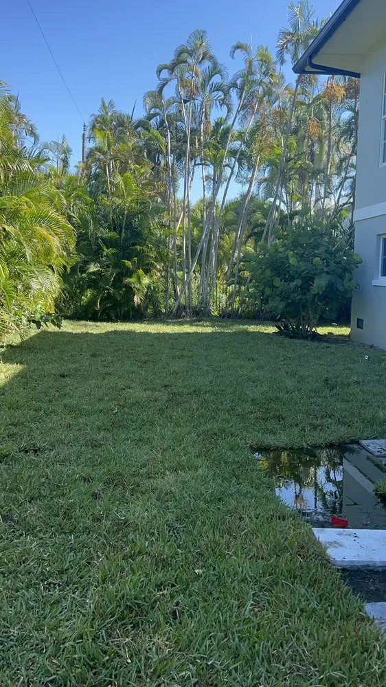 Local yard cleanup service with custom design in Fort Myers, FL by Jose irrigation & more management