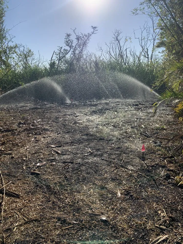 Custom landscape design in Fort Myers, FL - Jose irrigation & more management