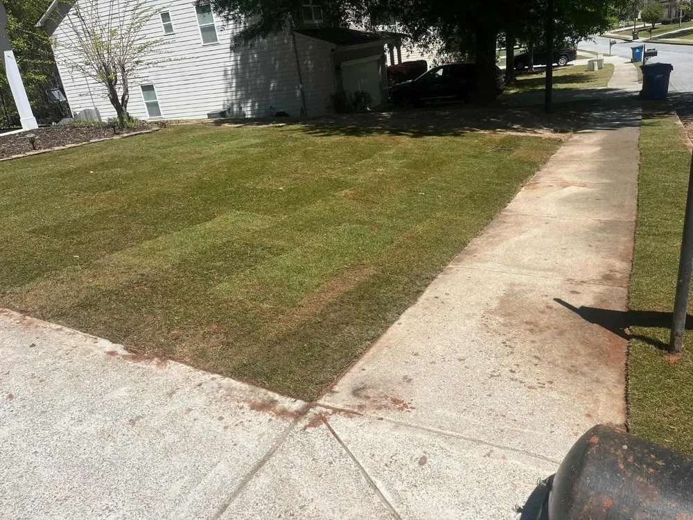 Trusted yard cleanup service in Gainesville, GA by Jose L Landscaping
