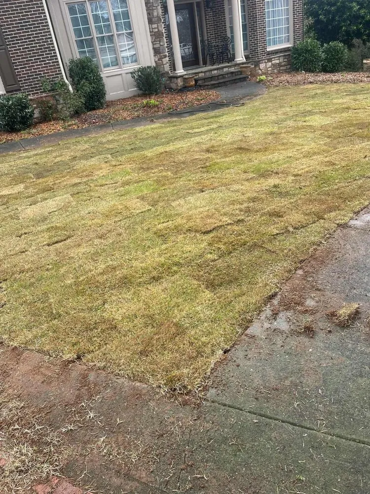 Local yard maintenance with custom design in Gainesville, GA by Jose L Landscaping