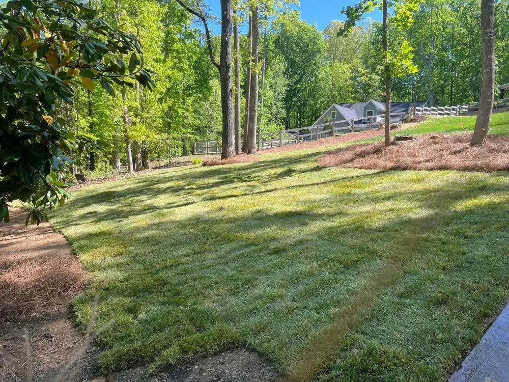 Top-rated yard maintenance experts serving Gainesville, GA - Jose L Landscaping