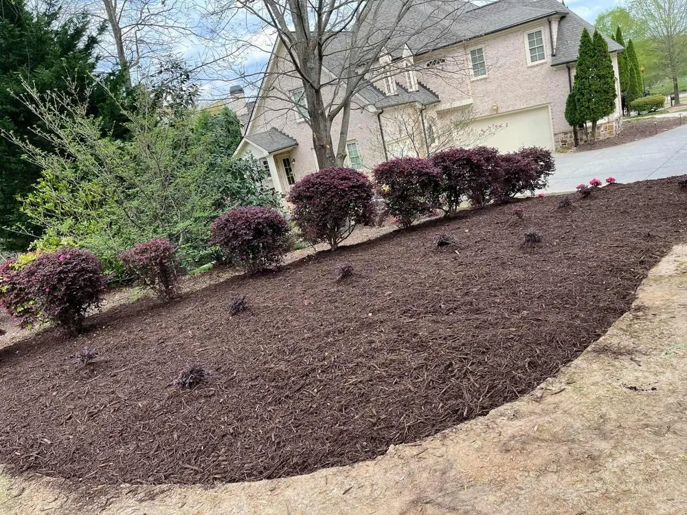Professional yard maintenance experts serving Gainesville, GA - Jose L Landscaping