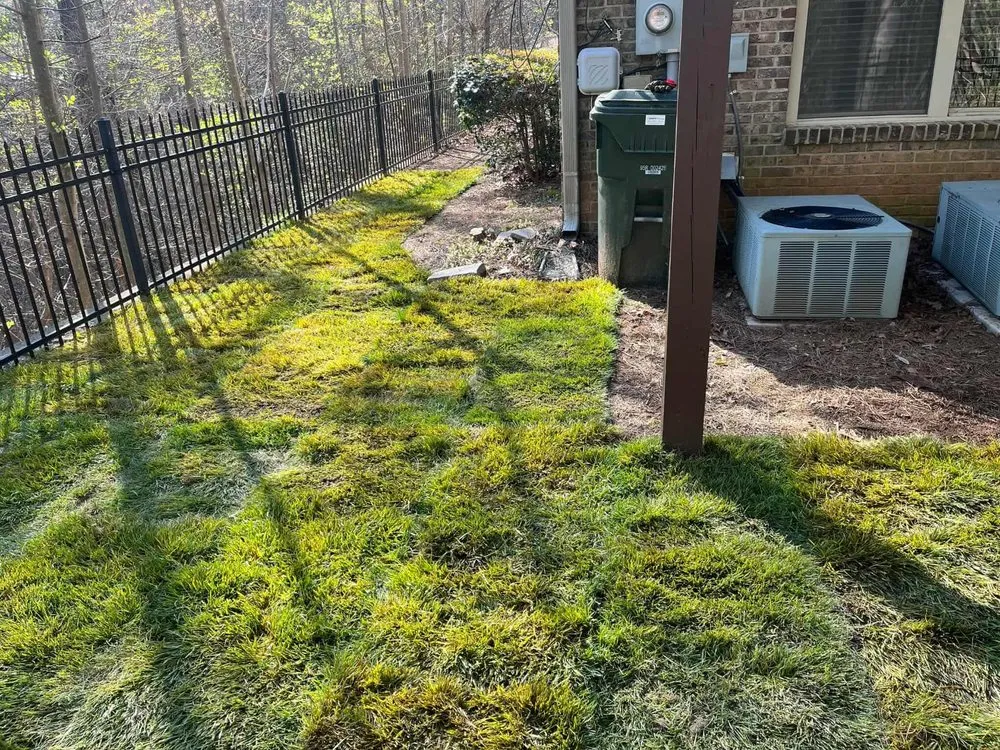 Top-rated landscaping services for residential properties in Gainesville, GA by Jose L Landscaping