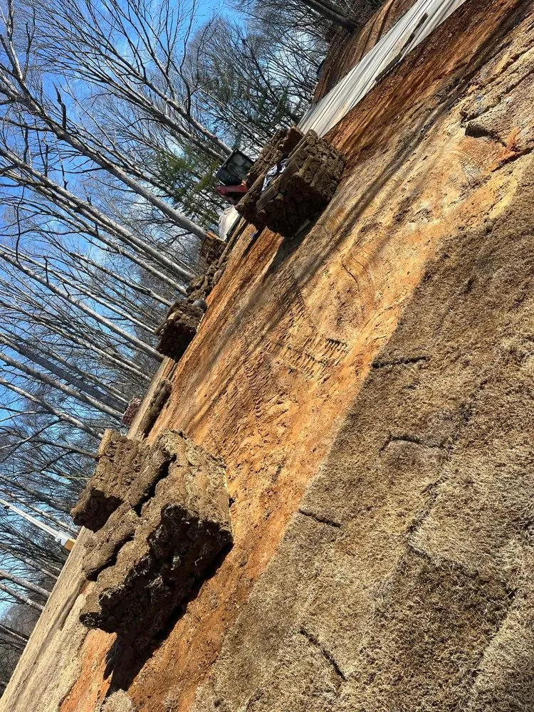 Expert residential landscaping experts serving Gainesville, GA - Jose L Landscaping