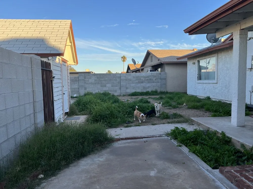 Reliable landscape installation for outdoor upgrades in Phoenix, AZ by Jose L Landscaping