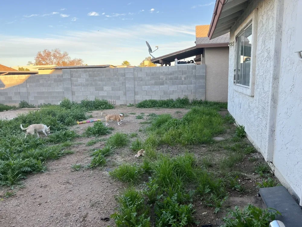 Reliable residential landscaping in Phoenix, AZ - Jose L Landscaping