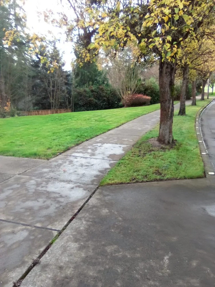 Professional landscape design for residential properties in Cornelius, OR by Jose Landscape