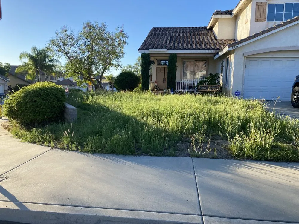 Local landscape design in Homeland, CA by Jose Landscape