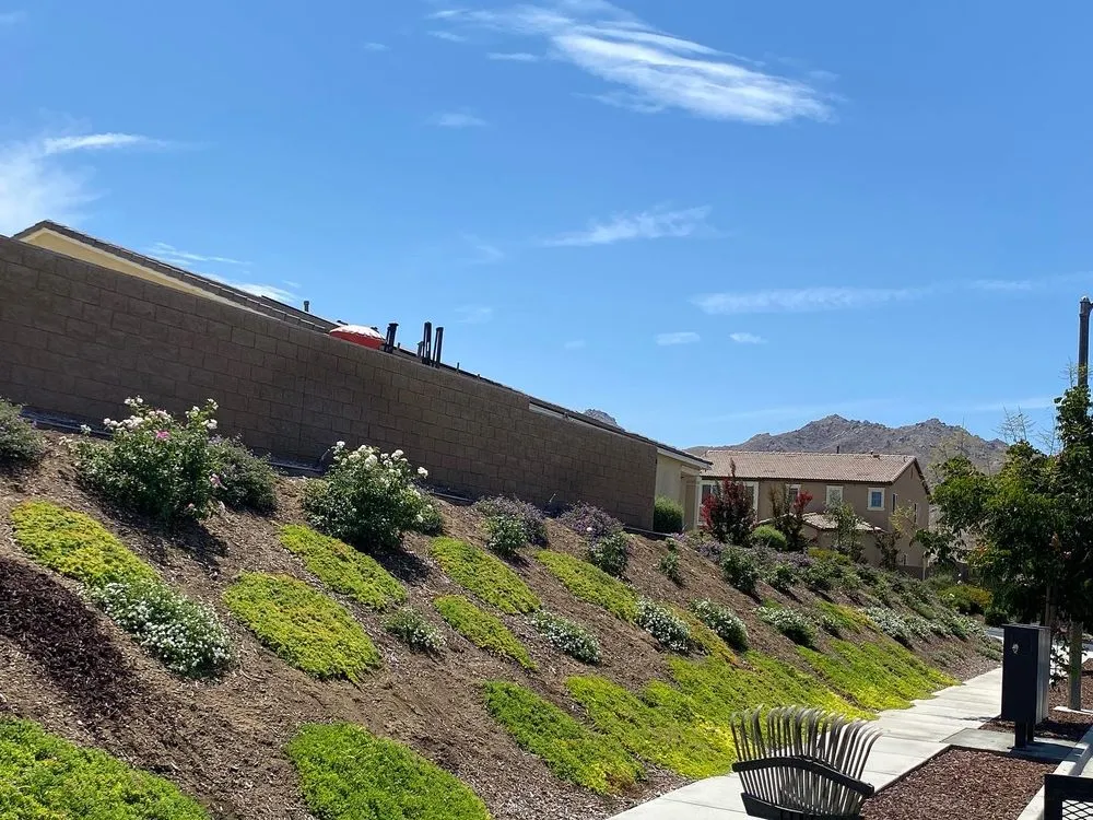 Top-rated residential landscaping in Homeland, CA - Jose Landscape