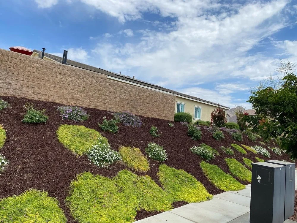 Local landscaping services in Homeland, CA by Jose Landscape