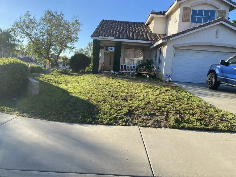 Reliable landscape design experts serving Homeland, CA - Jose Landscape