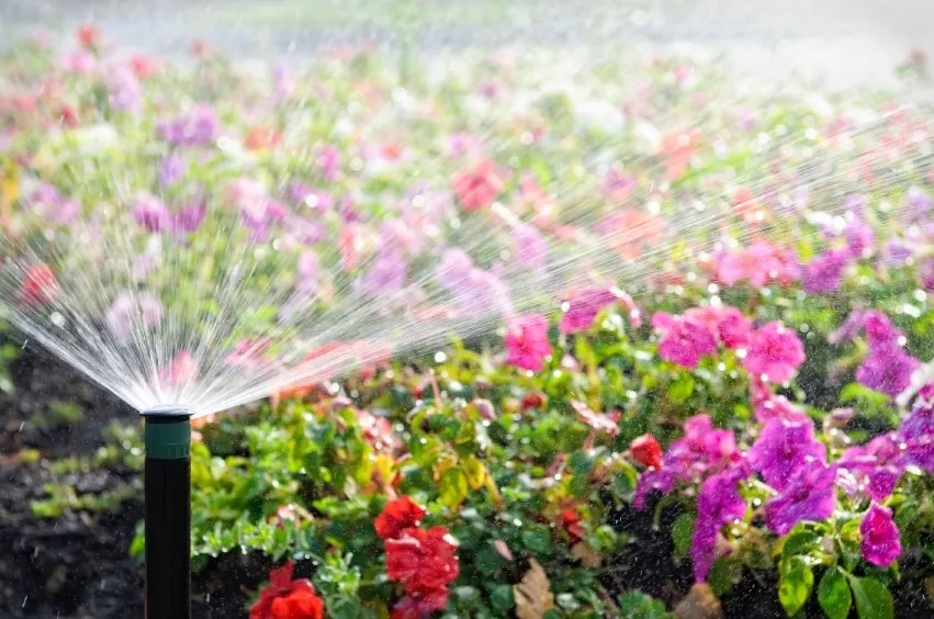 Custom outdoor landscaping in Land O' Lakes, FL - Jose Landscape