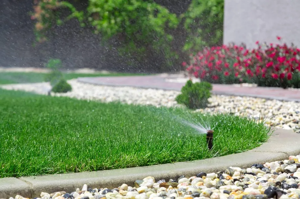 Top-rated lawn care service experts serving Land O' Lakes, FL - Jose Landscape