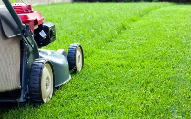 Local yard maintenance in Land O' Lakes, FL - Jose Landscape