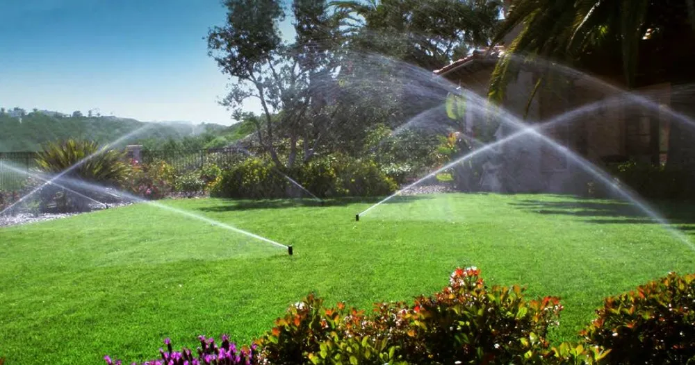Local yard maintenance for outdoor upgrades in Land O' Lakes, FL by Jose Landscape