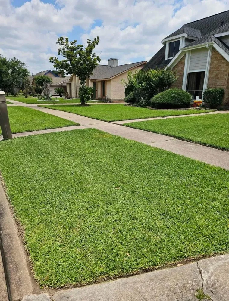 Professional yard cleanup service in Webster, TX - Jose Landscape