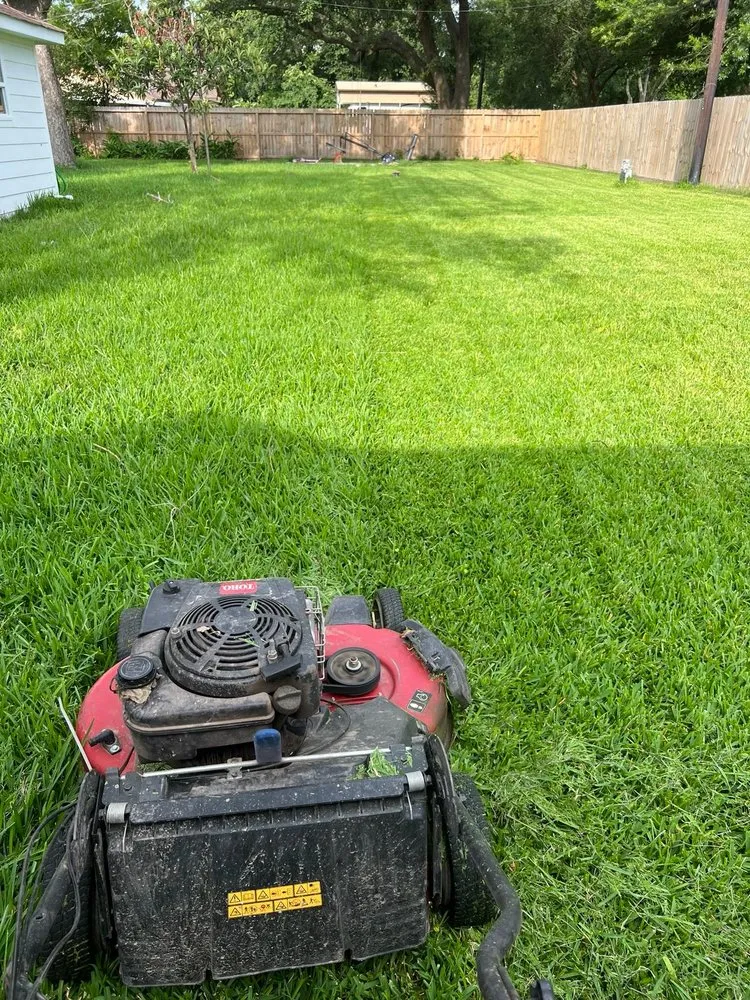 Expert landscape installation in Webster, TX - Jose Landscape