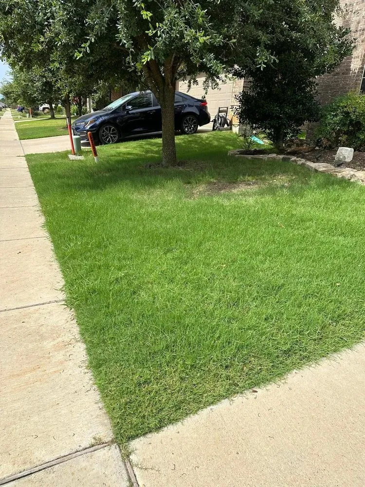 Expert lawn mowing service in Webster, TX by Jose Landscape