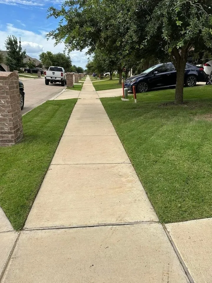 Affordable landscape design in Webster, TX - Jose Landscape